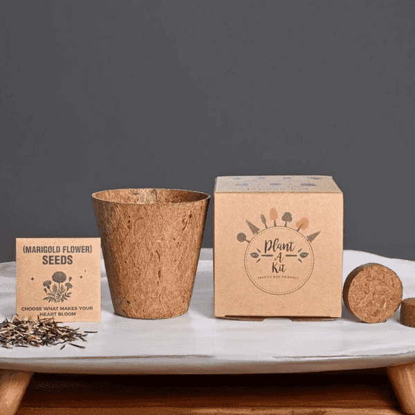 Auriss – All-In-One Plant Grow Kit detail 4