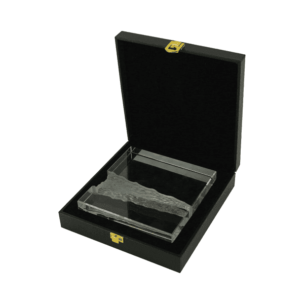 Merito – Crystal Trophy detail 2