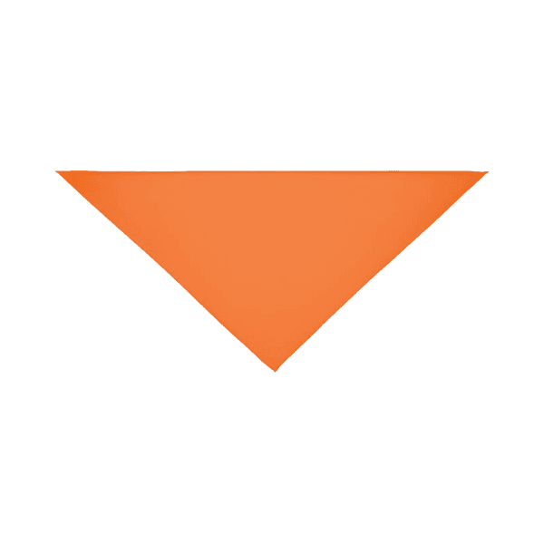 Dabool – Polycotton Bandana detail 2
