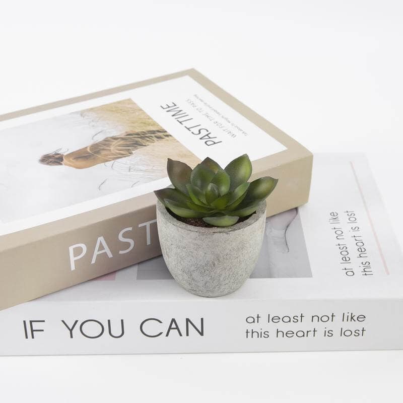 CAMAS - Artificial Succulent Plant in Pulp Pot detail 2