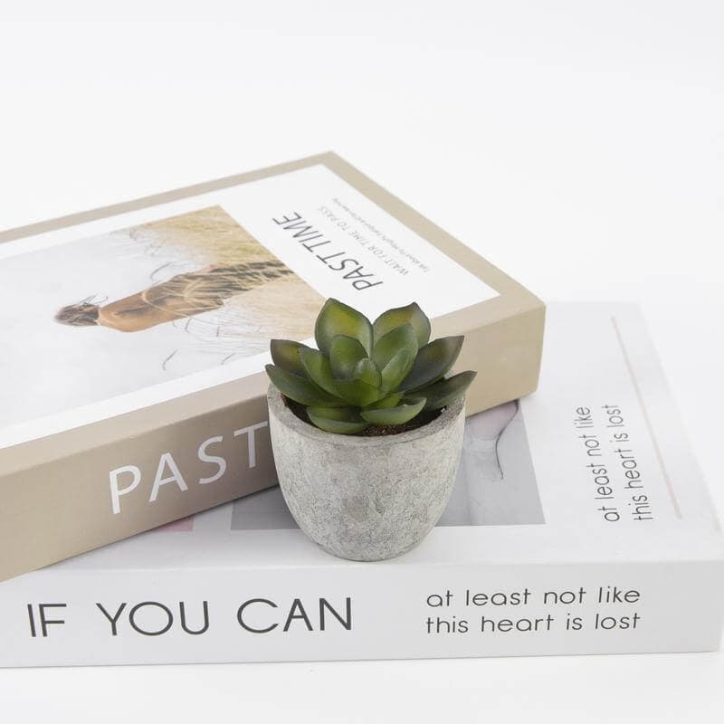 CAMAS - Artificial Succulent Plant in Pulp Pot detail 3