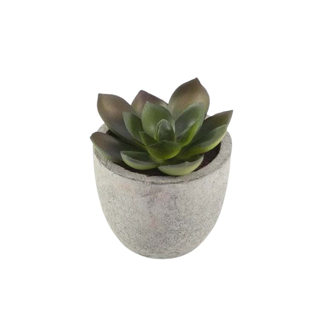 CAMAS - Artificial Succulent Plant in Pulp Pot detail 4
