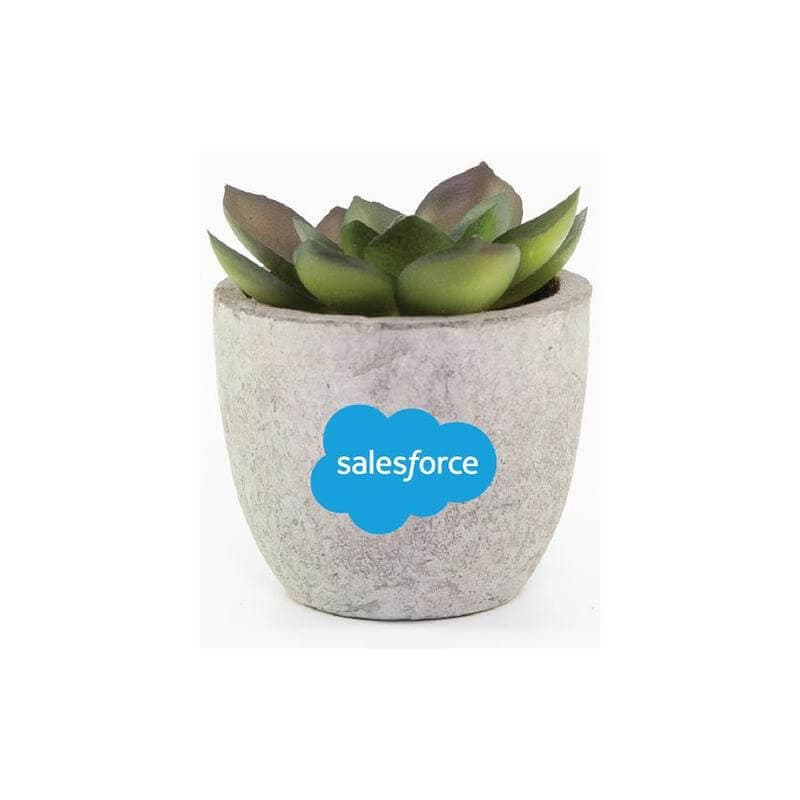 CAMAS - Artificial Succulent Plant in Pulp Pot detail 5