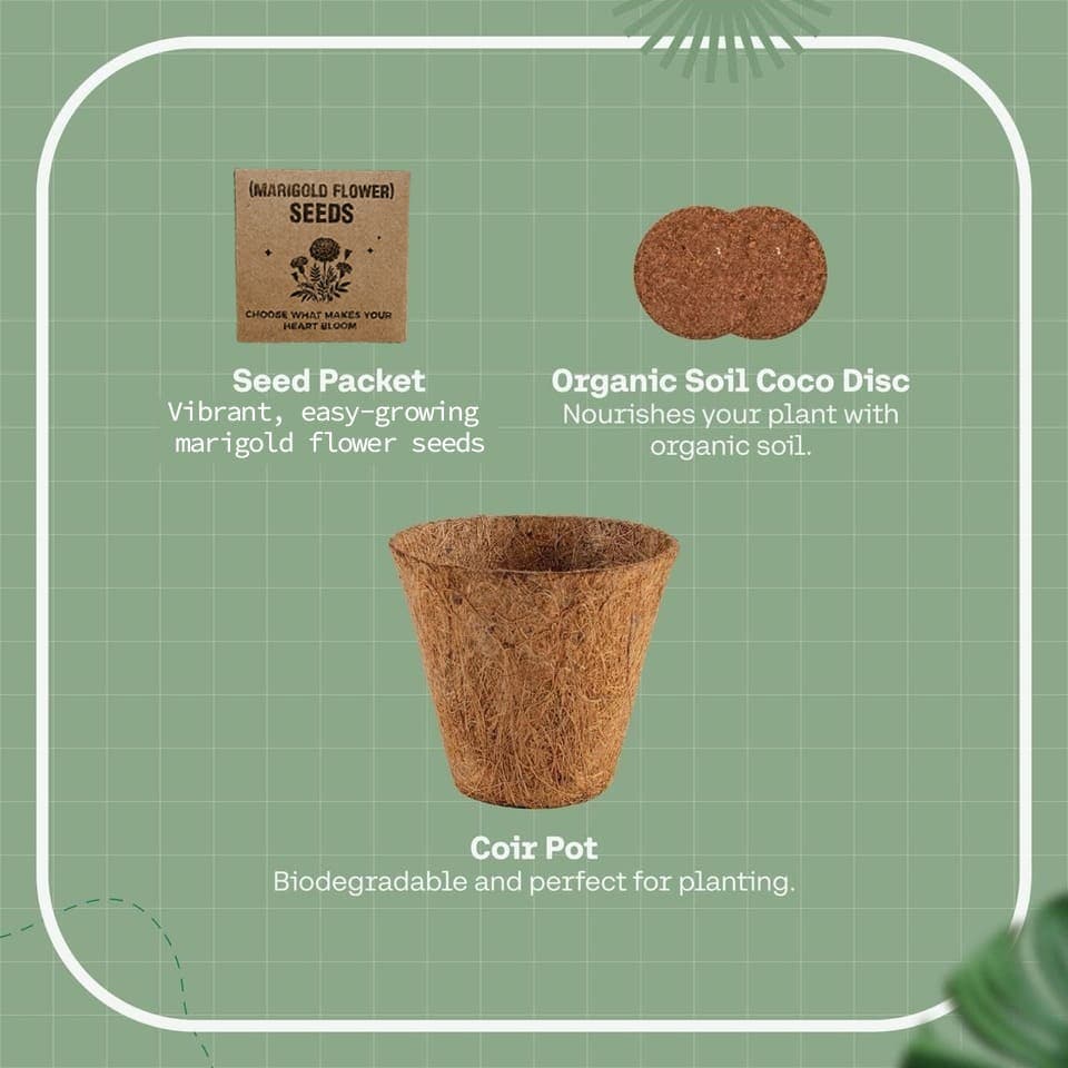 eco-neutral® All-in-One Plant Grow Kit detail 5