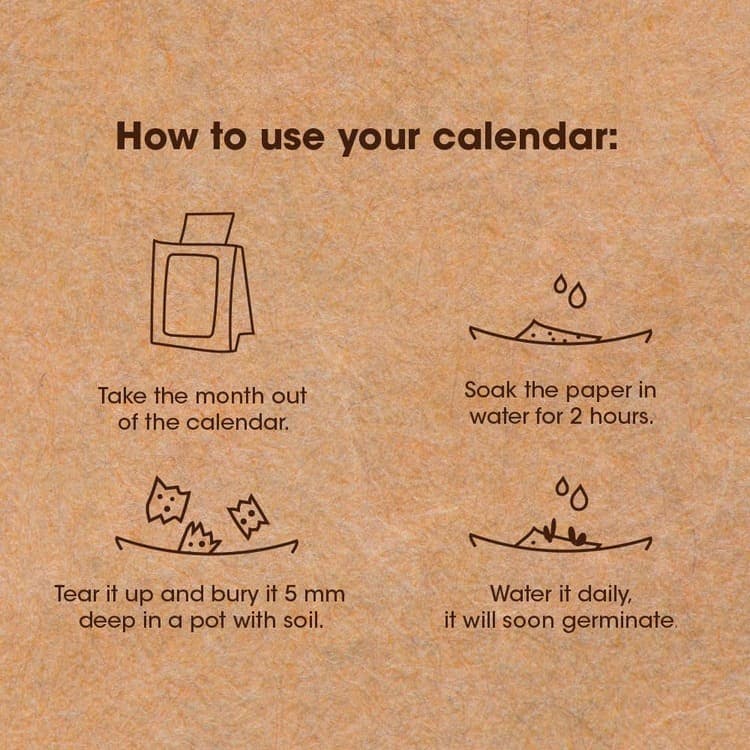 eco-neutral® Plantable Calendar with 12 Sheets Seed Paper detail 4