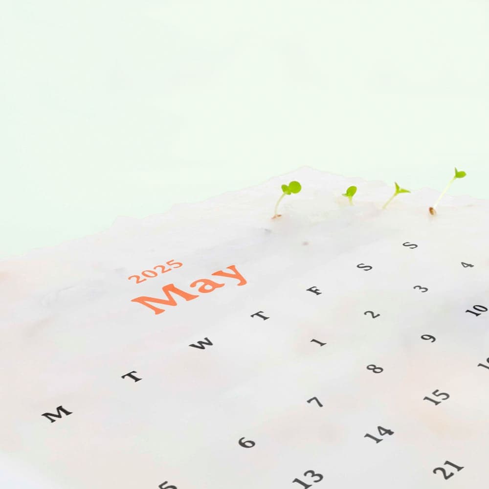eco-neutral® Plantable Calendar with 12 Sheets Seed Paper detail 5
