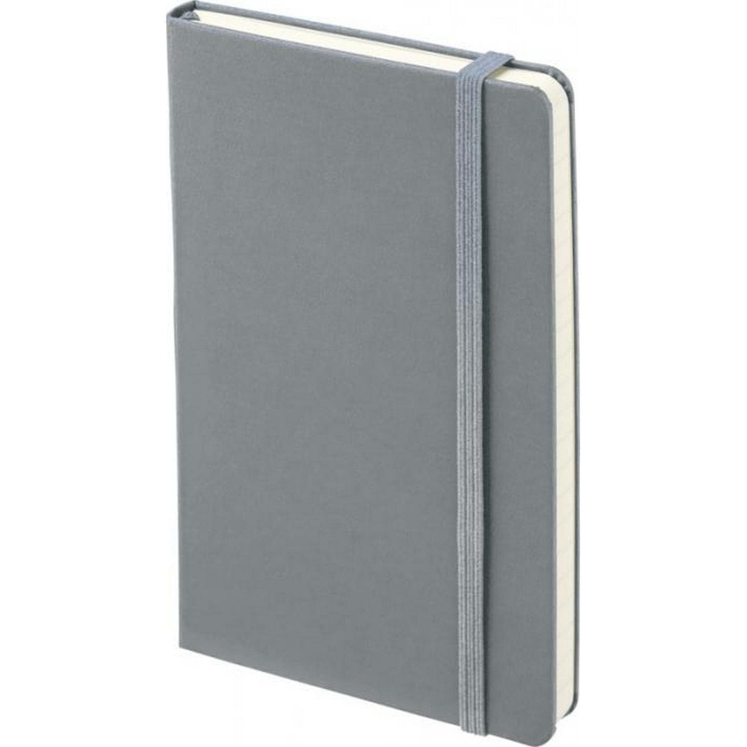 Moleskine Classic Hard Cover Large Ruled Notebook - Slate Grey detail 2