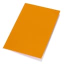 VINICA - eco-neutral A5 Notebook Orange