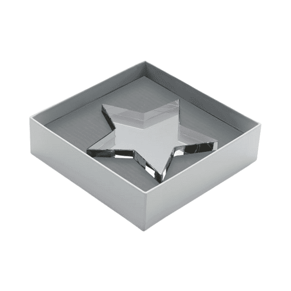 Regent – Glass Star Award detail 2