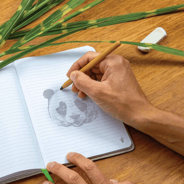 Ages – Long Lasting Bamboo Pencil detail 2