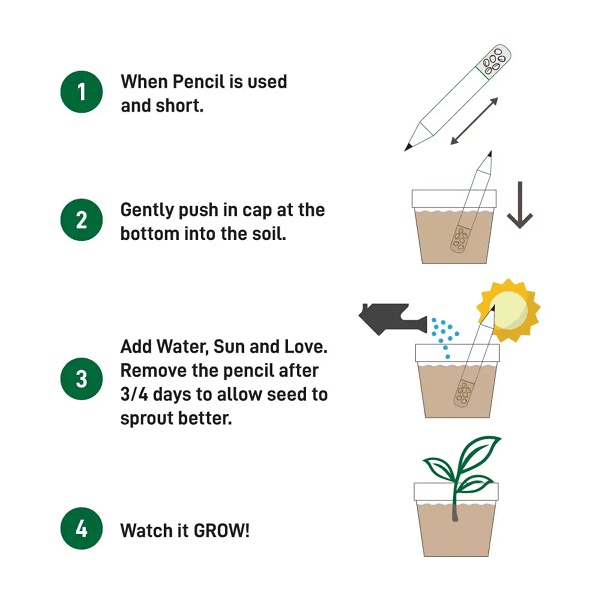 Oozoo – Plantable detail 3