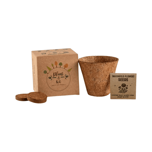 Auriss – All-In-One Plant Grow Kit