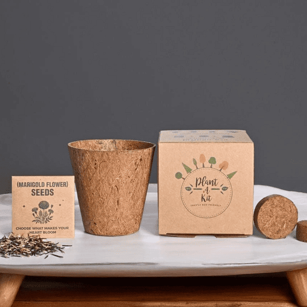 Auriss – All-In-One Plant Grow Kit preview