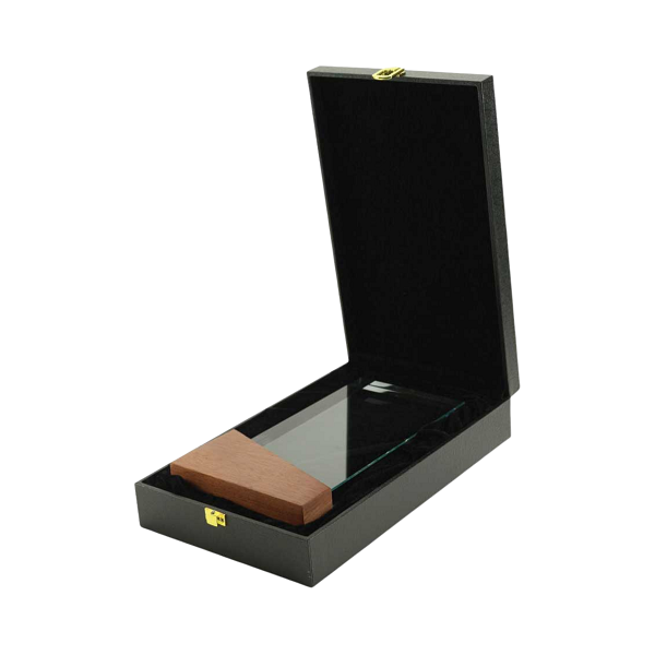 Akti – Crystal and Wood Trophy preview